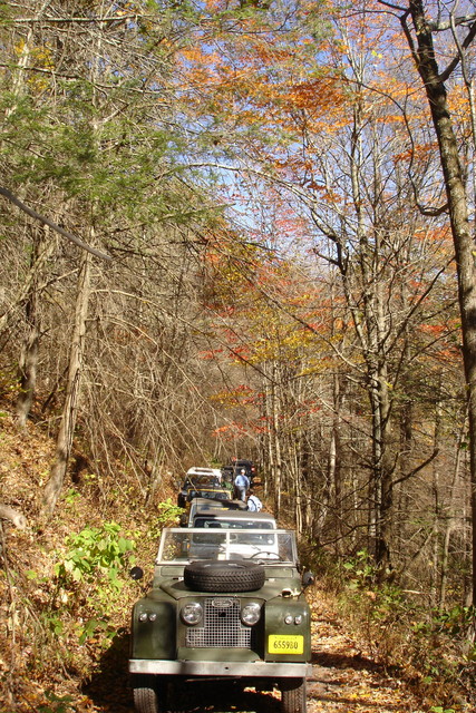 dsc05109_sized